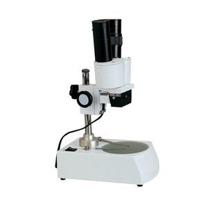 stereomicroscopio digitale