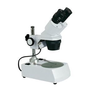 stereomicroscopio digitale