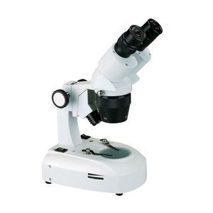 stereomicroscopio digitale