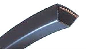 cinghia trapezoidale