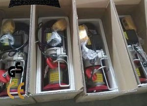 paranco a catena elettrico