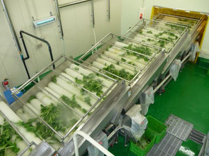 lavatrice agroalimentare a spazzzola