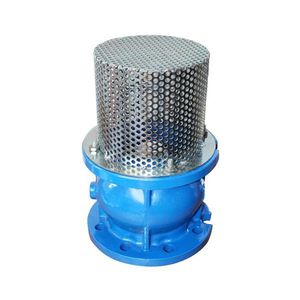 valvola a disco