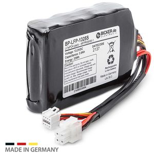 modulo batteria LiFePO4