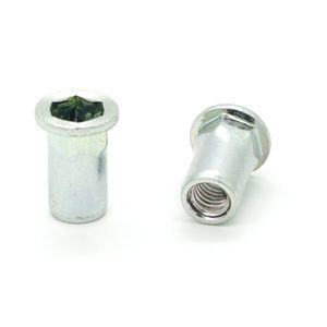 rivetto cieco