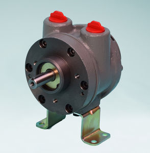motore pneumatico a paletta 1