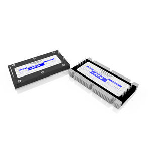 modulo convertitore DC DC incapsulato
