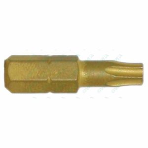 punta per cacciavite torx 1