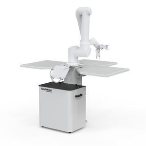 pallettizzatore robotizzato