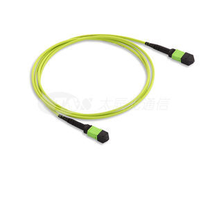 cavo ottico di interconnessione