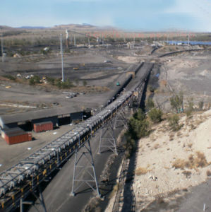 nastro trasportatore in PVC