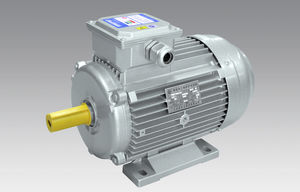 motore asincrono 1