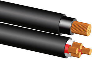 cavo elettrico di connessione