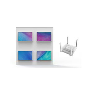 display IPS 1