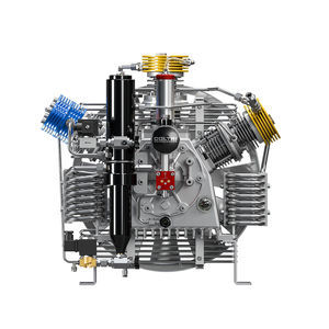 gruppo compressore di gas 1