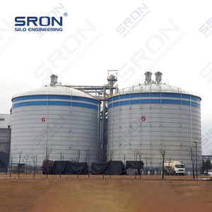 silo bullonato 1