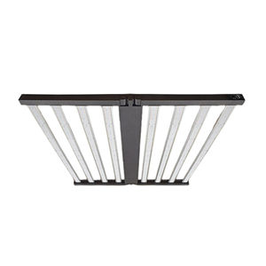 lampada