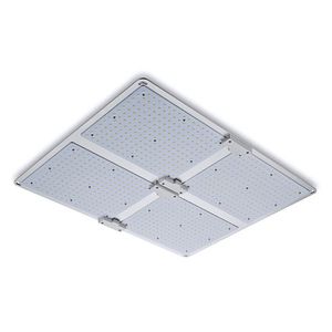 lampada