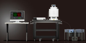 microscopio a due fotoni