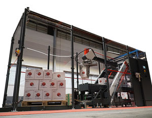sistema di pallettizzazione per cartoni 1