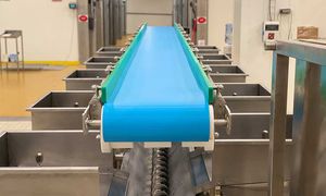 linea di presse automatica