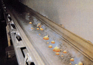 nastro trasportatore in EPDM