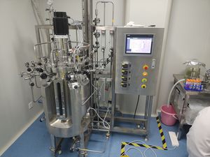 bioreattore con agitazione meccanica (STR)
