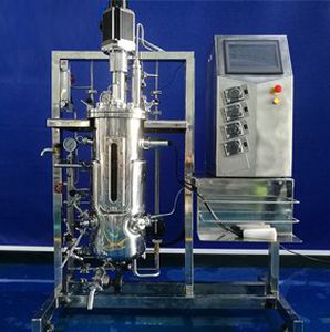 bioreattore / fermentatore con agitazione meccanica (STR)