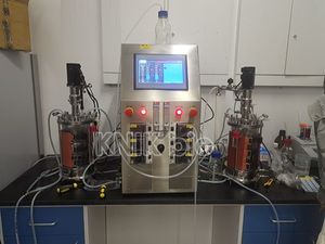bioreattore con agitazione meccanica (STR)