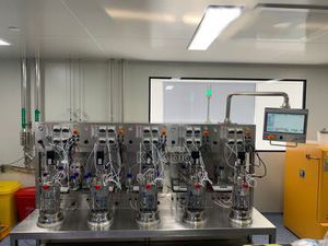 bioreattore con agitazione meccanica (STR)