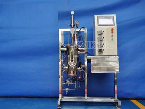 bioreattore / fermentatore con agitazione meccanica (STR)