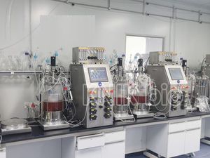 bioreattore / fermentatore per batch