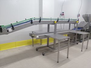 sistema di trasporto per l'industria alimentare e delle bevande