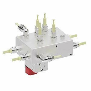 manifold multicanale