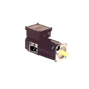 servomotore brushless