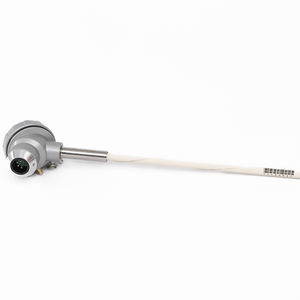 sonda di ossigeno