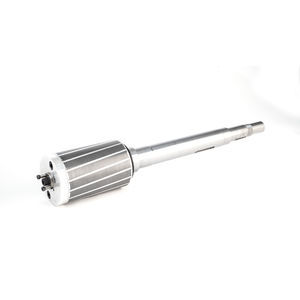 gruppo magnetico