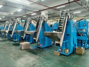 macchina di stampa a caldo di lamine con alimentaziona automatica 1