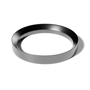 anello di tenuta in acciaio inossidabile 1