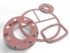 foglio di guarnizione PTFE 1