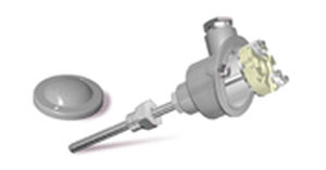 sonda di temperatura RTD 1