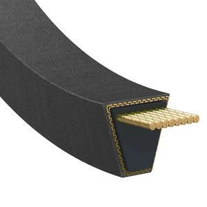 cinghia trapezoidale 1