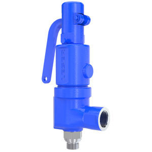 valvola di sicurezza per acqua 1
