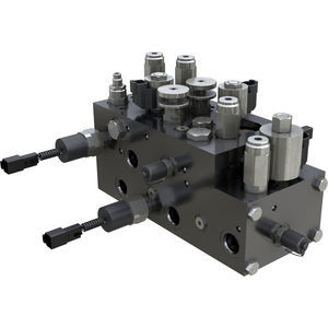 manifold multicanale