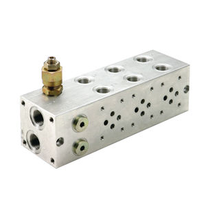 manifold multicanale