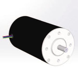 motore a magneti permanenti / DC / brushless / 24 V