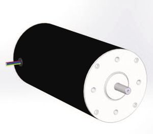motore a magneti permanenti / DC / brushless / 24 V