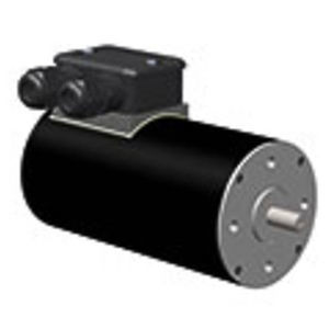 motore brushless
