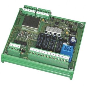 trasmettitore di peso analogico