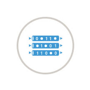 server di stoccaggio / web / di rete / di basi di dati